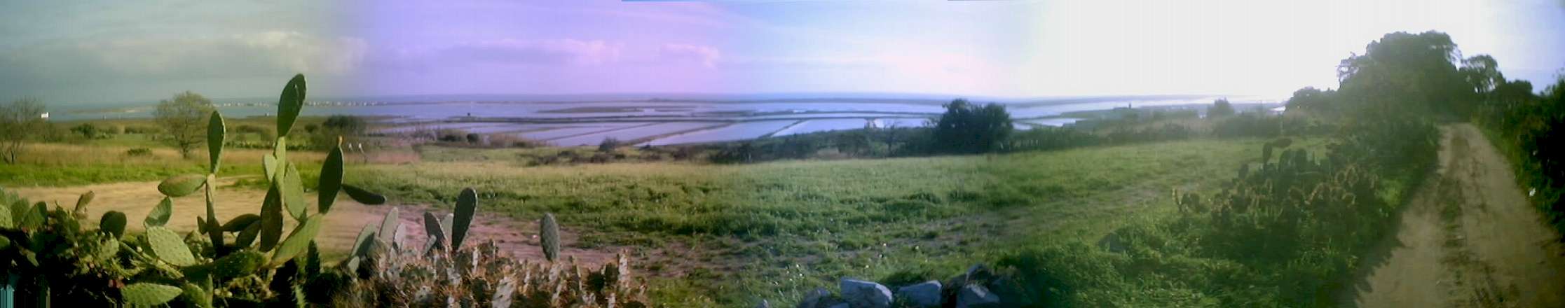 panoramicabias.JPG (261900 bytes)